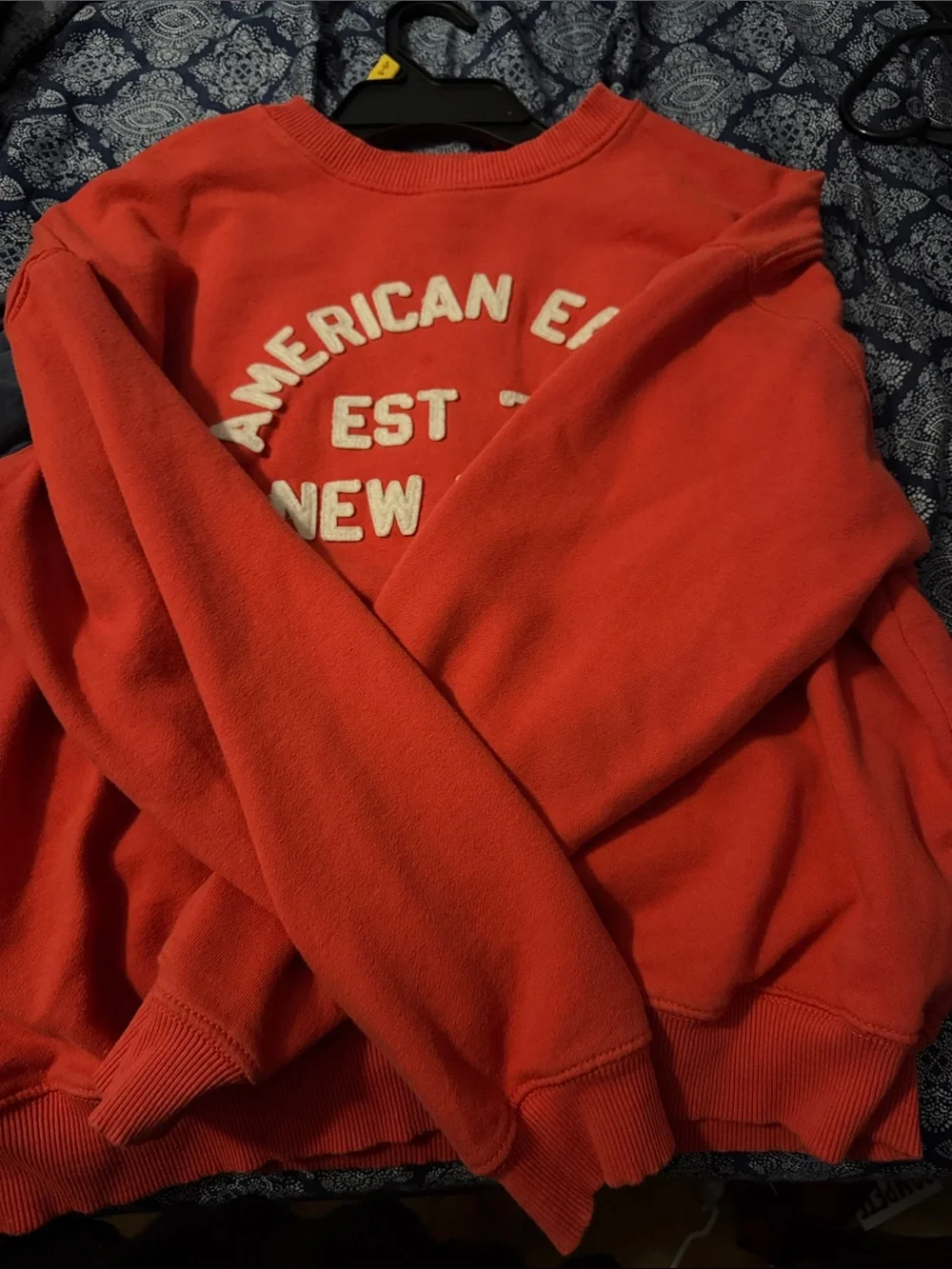 American Eagle Outfitters Coral Crewneck Sweatshirt